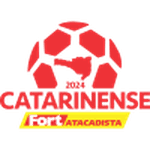 Catarinense - 1 logo