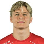 M. Mattsson