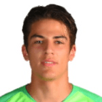 D. Alemdar