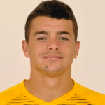 M. Kogut