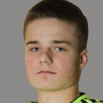 K. Yankovskiy