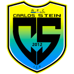 Carlos Stein logo