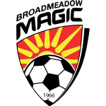 Broadmeadow Magic logo