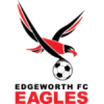 Edgeworth Eagles logo