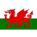 Wales U19 logo