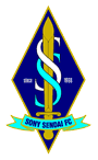 Sony Sendai logo