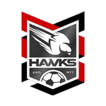 Holland Park Hawks logo