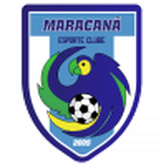 Maracanã logo