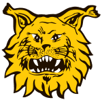 Ilves logo