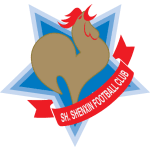 Shanghai Shenxin logo