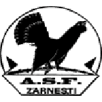 Olimpic Zărneşti logo