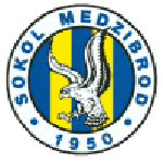 Sokol Medzibrod logo