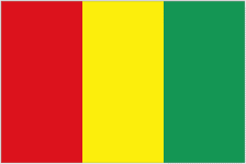 Guinea logo