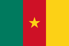 Cameroon logo