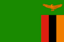 Zambia W logo