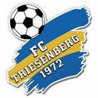 Triesenberg logo