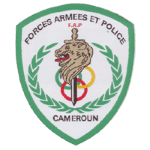 FAP logo