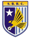Somerset Eagles logo