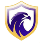 Falcon U20 logo