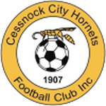 Cessnock City Hornets logo