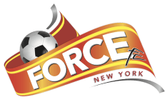 Force New York logo