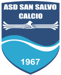 Salvo logo