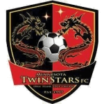 Minnesota Twin Stars logo