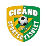 Cigand SE logo