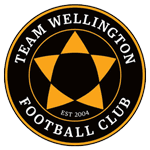 Team Wellington logo