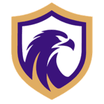 Falcon U17 logo