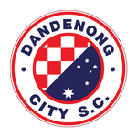 Dandenong City logo