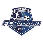 Pinzgau Saalfelden logo