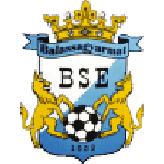Balassagyarmat VSE logo