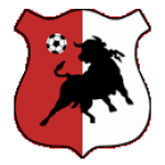 Bonyhád Völgység logo