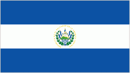 El Salvador logo