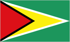 Guyana logo