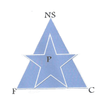 New Star logo