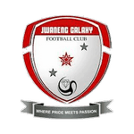 Galaxy logo