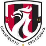 Guilsfield logo