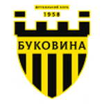 Bukovyna logo