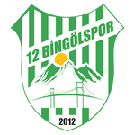 12 Bingölspor logo