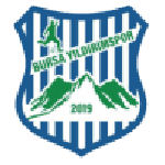 Bursa Yıldırımspor logo