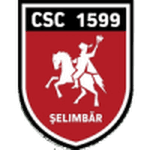 Viitorul Şelimbăr logo