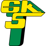 Górnik Łęczna logo