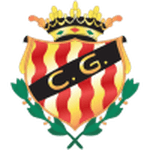 Gimnastic logo