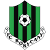 Rokycany logo