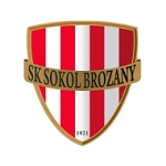 Sokol Brozany logo