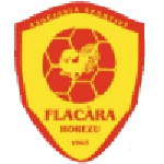 Flacăra Horezu logo