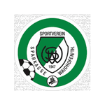 Waidhofen / Thaya logo